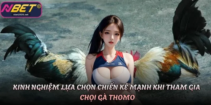 Kinh nghiệm lựa chọn chiến kê mạnh khi tham gia chọi gà Thomo