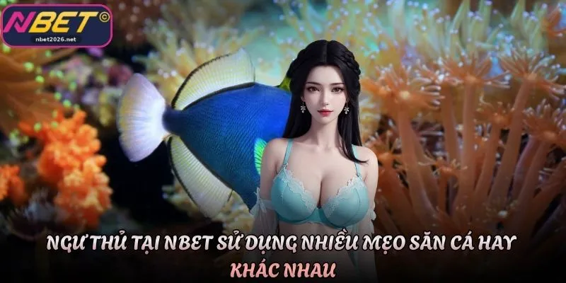 Ngư thủ tại Nbet sử dụng nhiều mẹo săn cá hay khác nhau