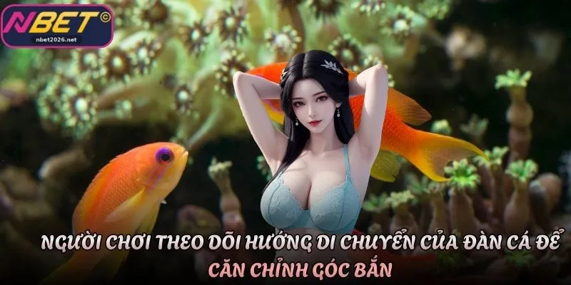 Người chơi theo dõi hướng di chuyển của đàn cá để căn chỉnh góc bắn