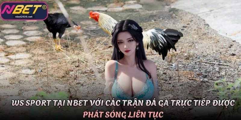 WS Sport tại Nbet với các trận đá gà trực tiếp được phát sóng liên tục