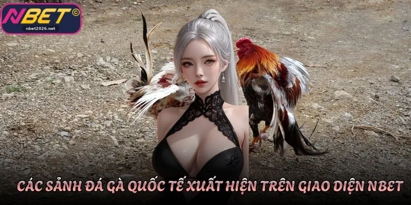 Các sảnh đá gà quốc tế xuất hiện trên giao diện Nbet