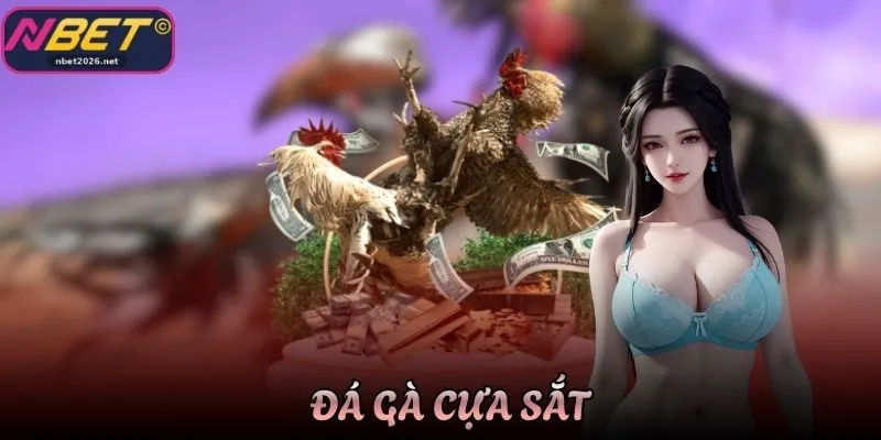 Đá Gà Cựa Sắt Giải Trí Hấp Dẫn Thu Hút Đông Đảo Người Xem