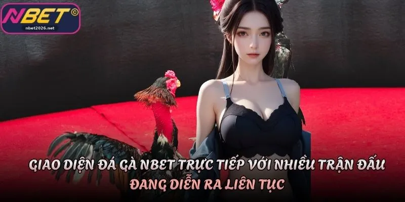 Giao diện đá gà Nbet trực tiếp với nhiều trận đấu đang diễn ra liên tục