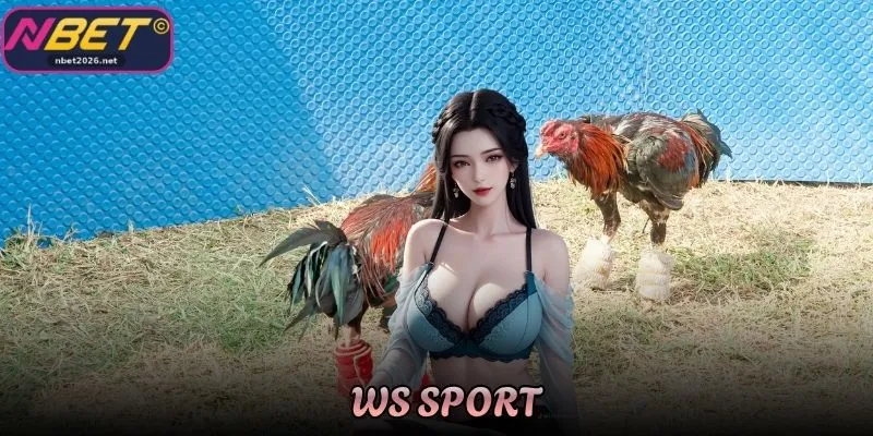Sảnh Đá Gà WS Sport Thu Hút Đông Đảo Người Xem Tại Nbet